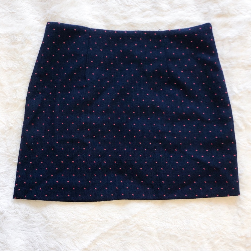Polka Dot Winter Mini Skirt